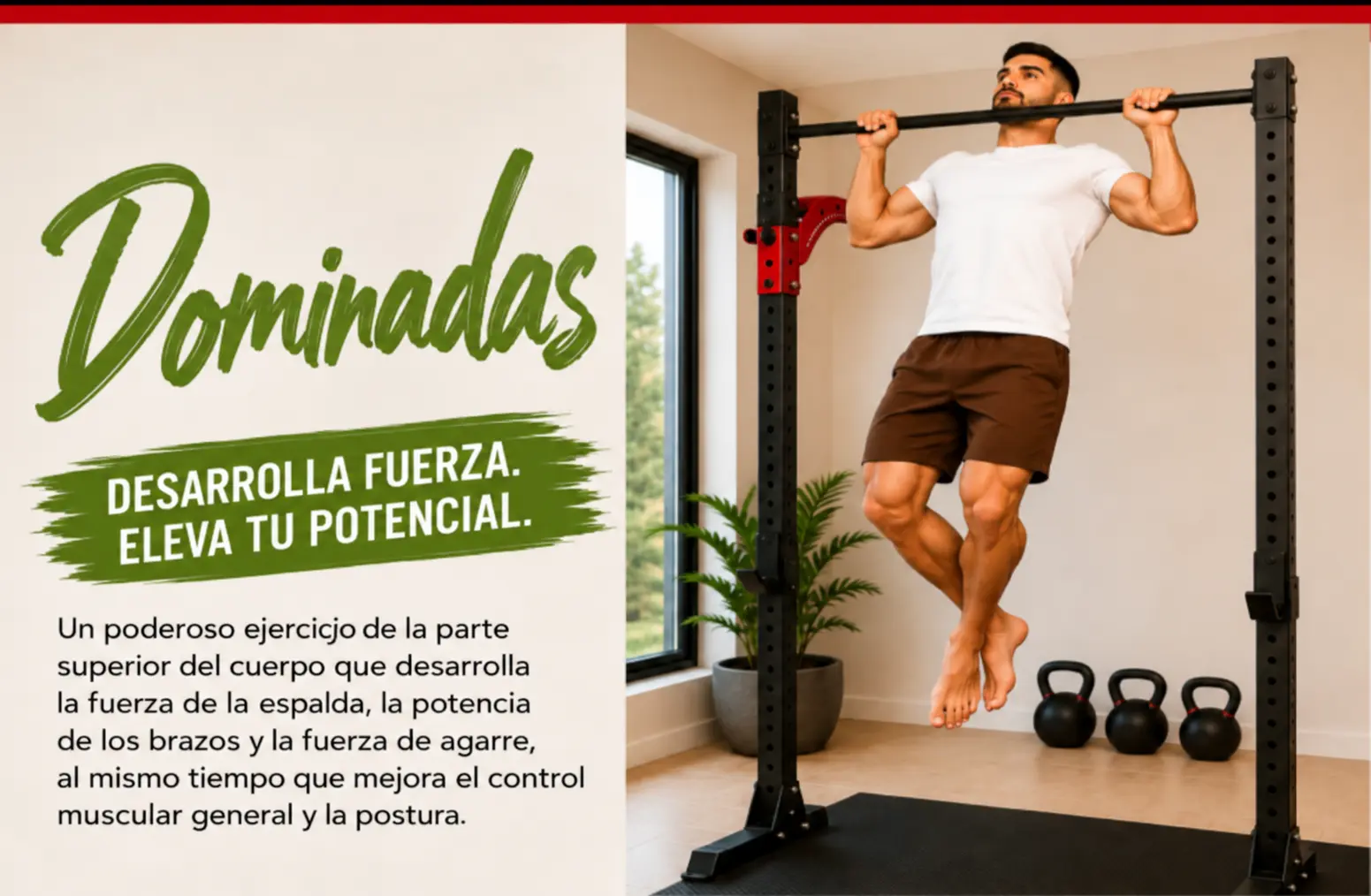 DOMINADAS
