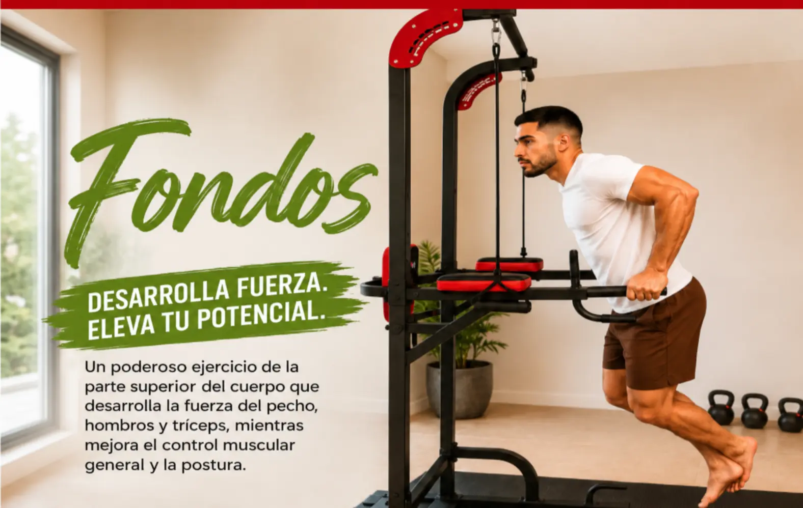 FONDOS