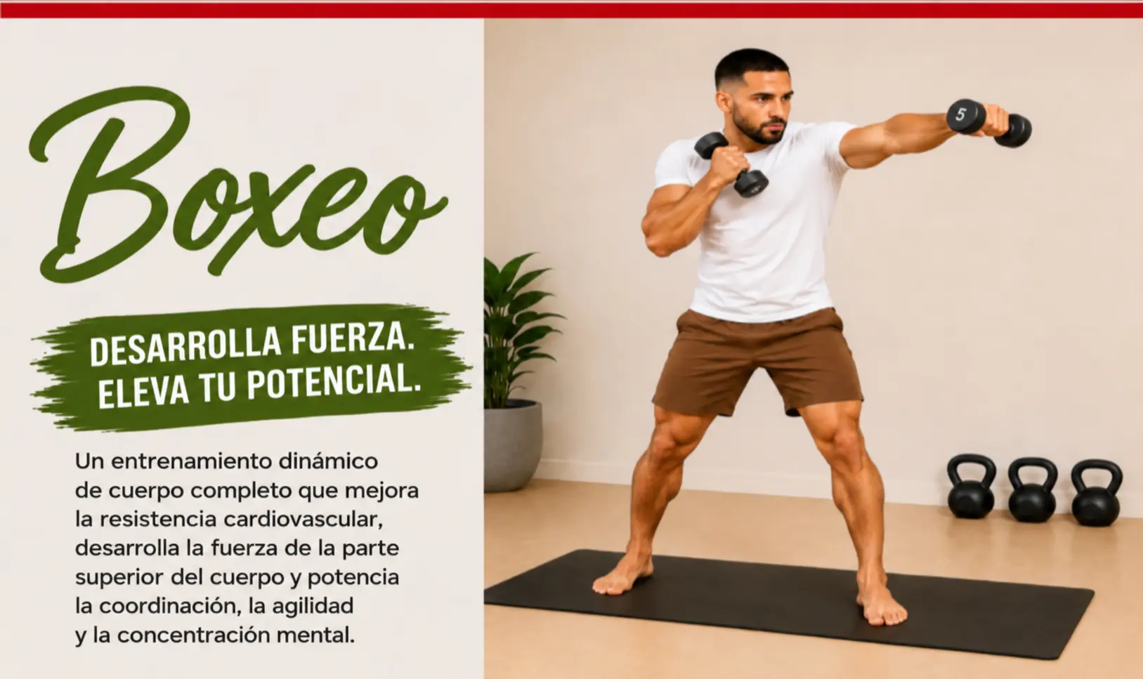 BOXEO