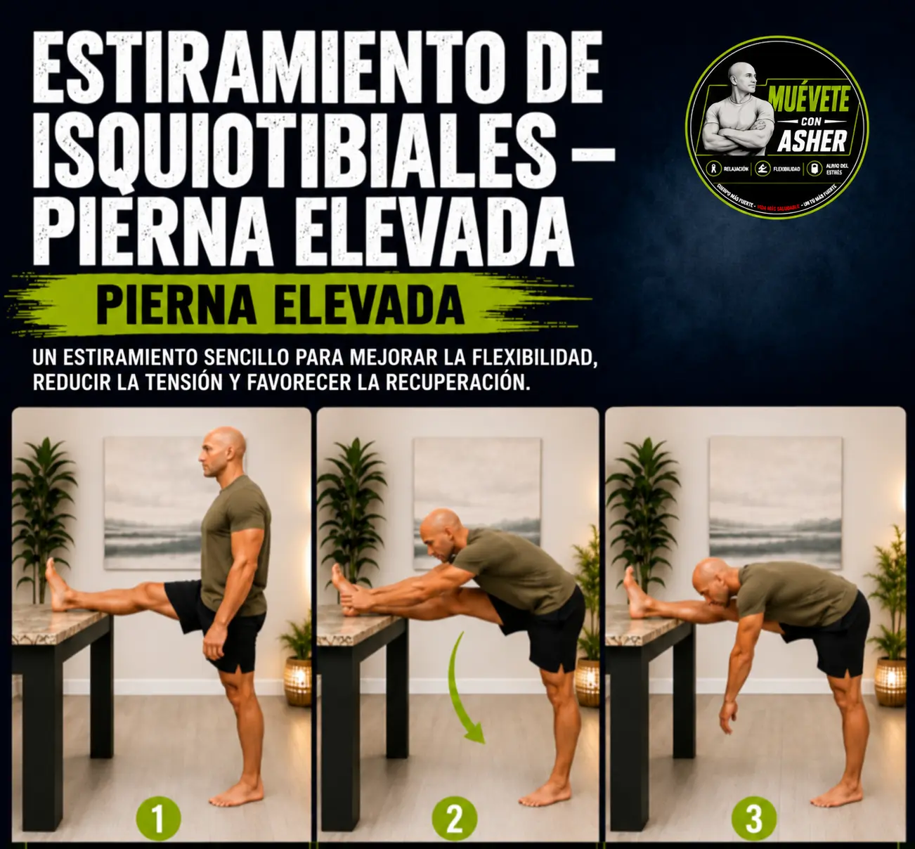 ESTIRAMIENTO DE ISQUIOTIBIALES — PIERNA ELEVADA
