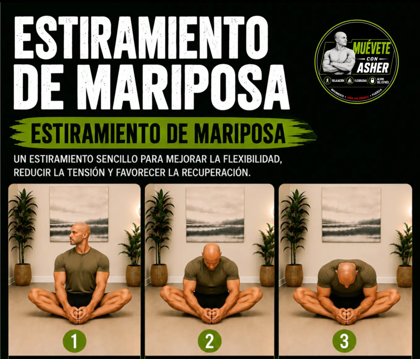 ESTIRAMIENTO DE MARIPOSA