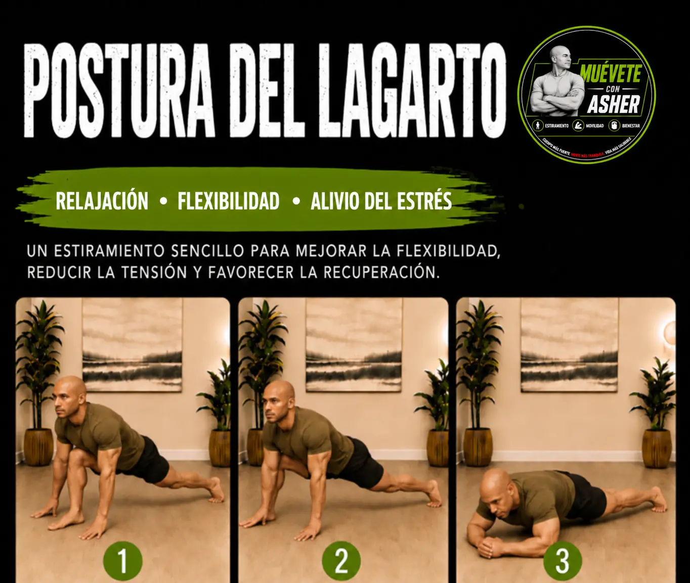 POSTURA DEL LAGARTO