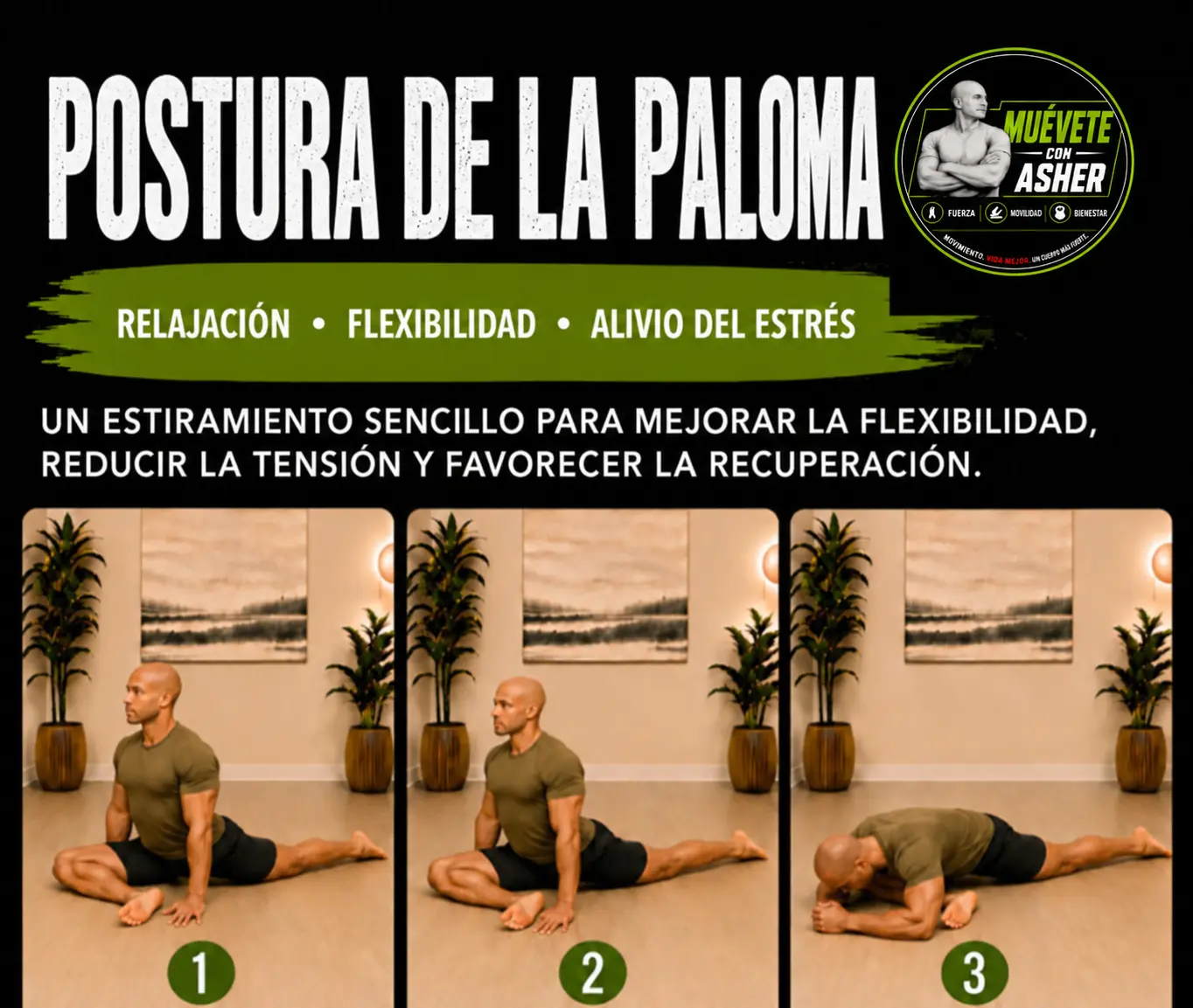 POSTURA DE LA PALOMA