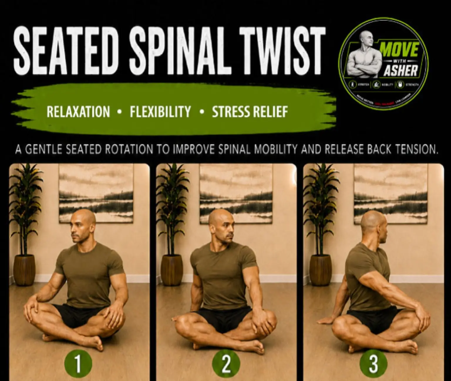 SEATED SPINAL TWIST