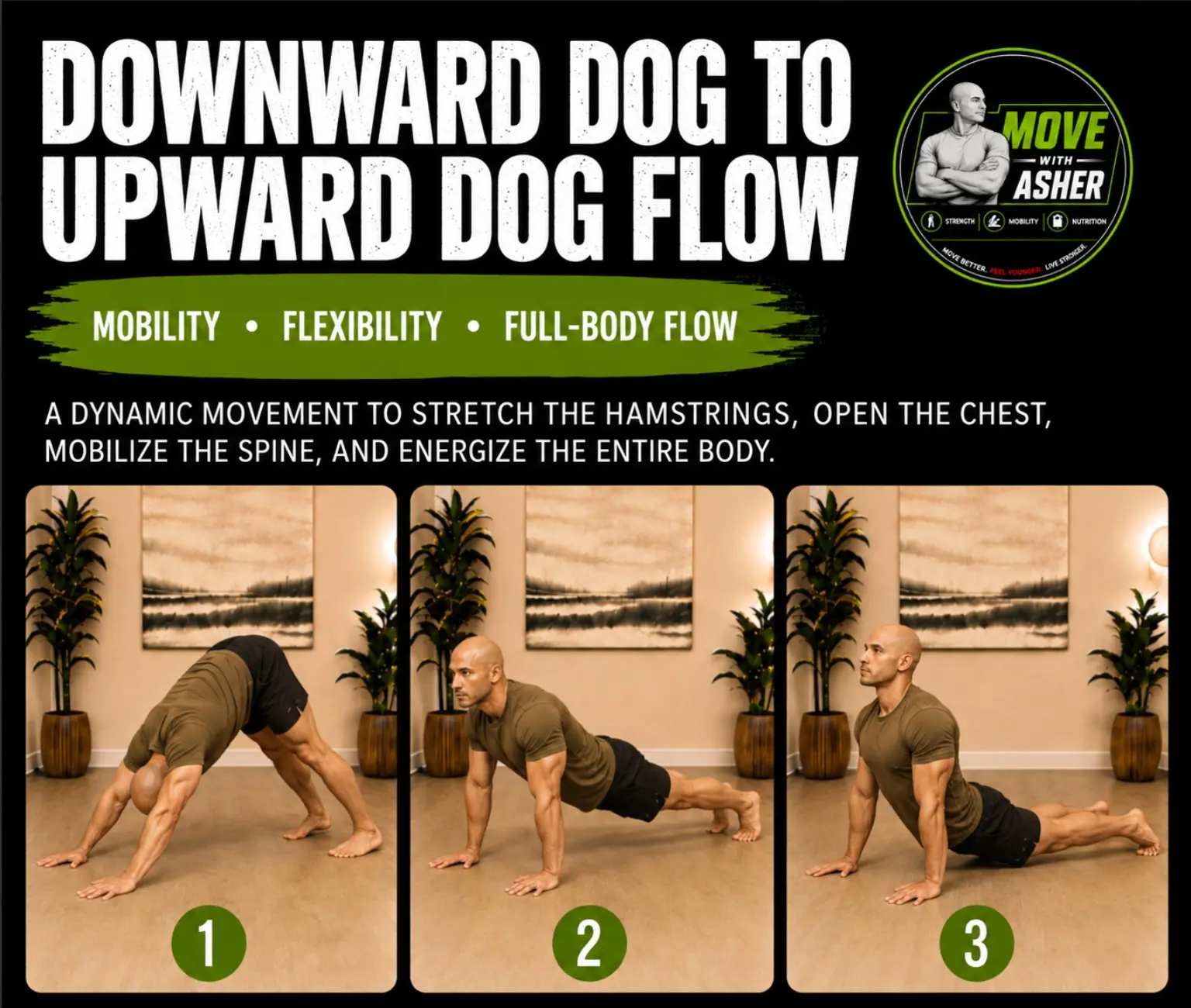 DOWNWARD DOG TO UPWARD DOG FLOW